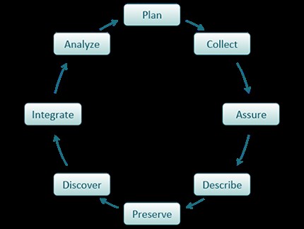 Big Data Management Cycle